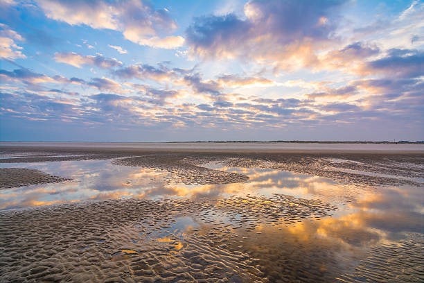 Waddenzee 2